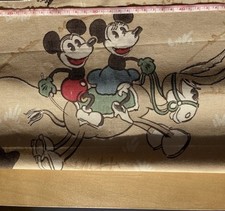 Sanderson Disney Home Mickey